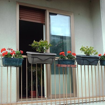 Guest House Cuore Del Friuli Udine Ngoại thất bức ảnh