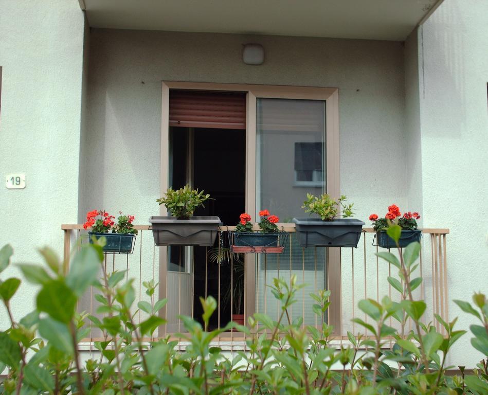 Guest House Cuore Del Friuli Udine Ngoại thất bức ảnh