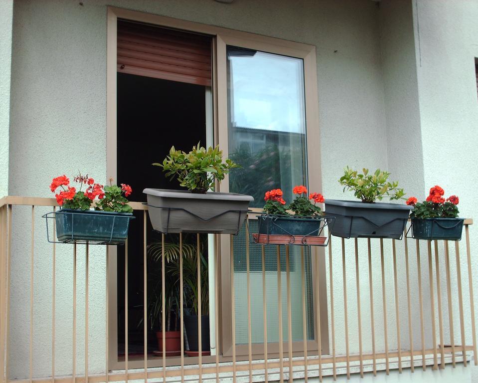 Guest House Cuore Del Friuli Udine Ngoại thất bức ảnh